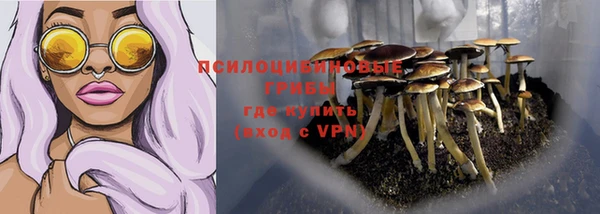 амф Алексеевка