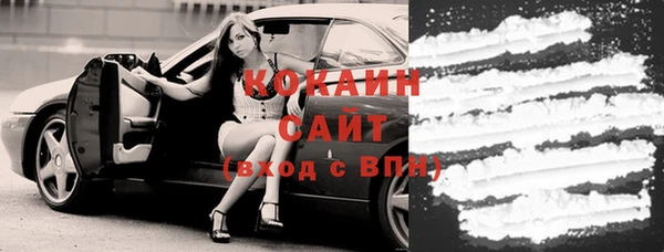 мет Алексин