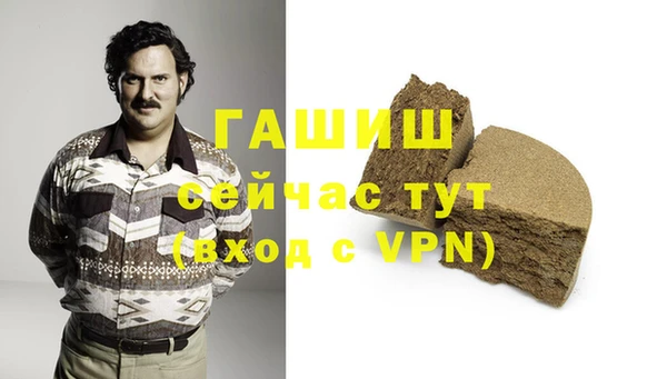 мет Алексин