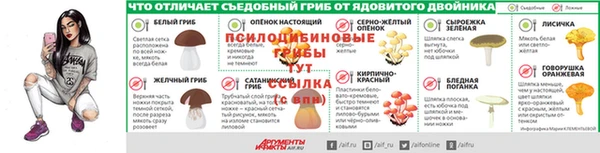 амф Алексеевка