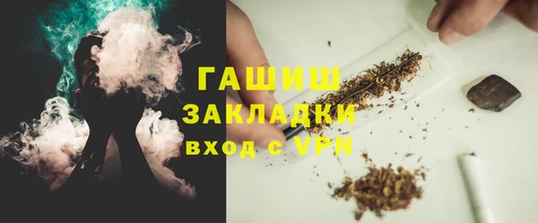 мет Алексин