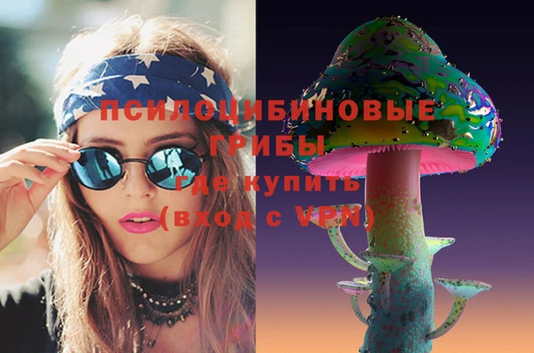 мет Алексин