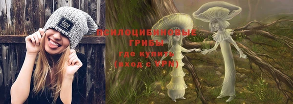 амф Алексеевка