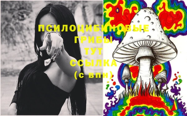 МДПВ Алзамай